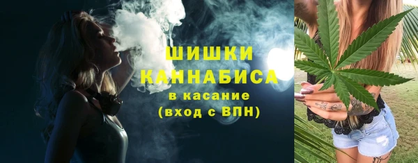 прущие грибы Краснослободск