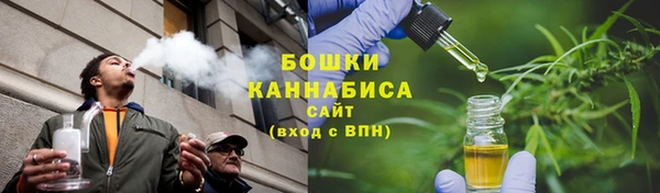 дживик Лагань