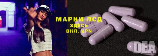 прущие грибы Краснослободск