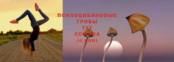 дживик Лагань