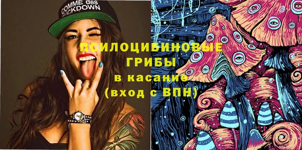 прущие грибы Краснослободск