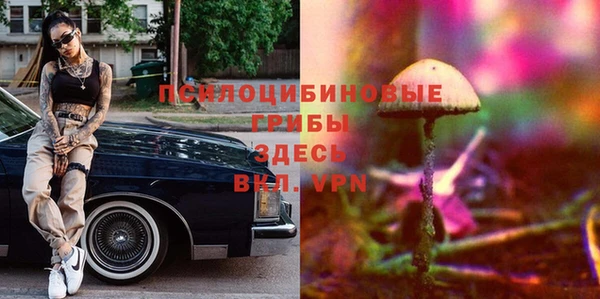 прущая мука Гатчина