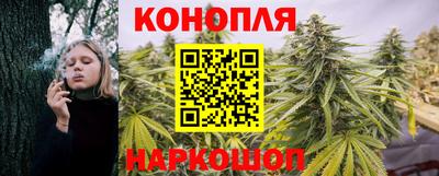 гидропоника Кингисепп