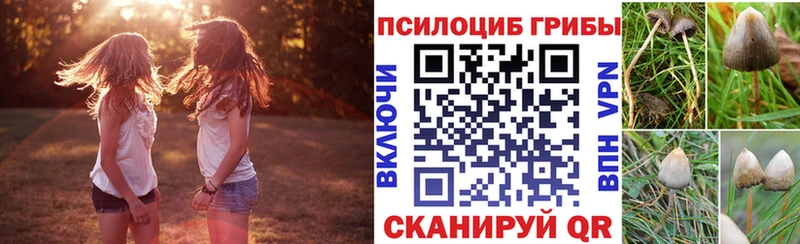 наркота  Минусинск  omg зеркало  Псилоцибиновые грибы MAGIC MUSHROOMS 