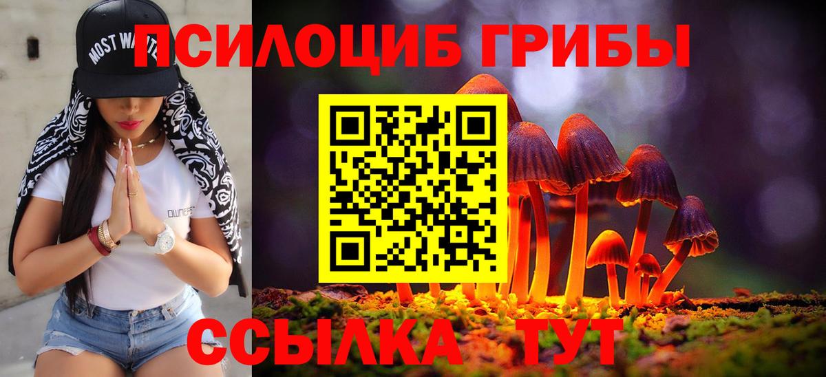 Галлюциногенные грибы Magic Shrooms  Вход с VPN  купить наркотики сайты  Минусинск 